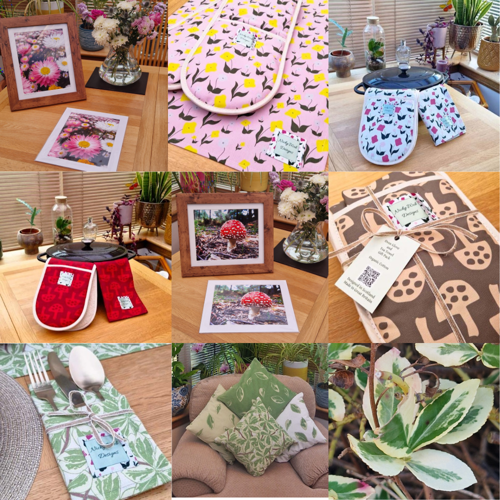 How Nature Inspires My Surface Pattern Designs