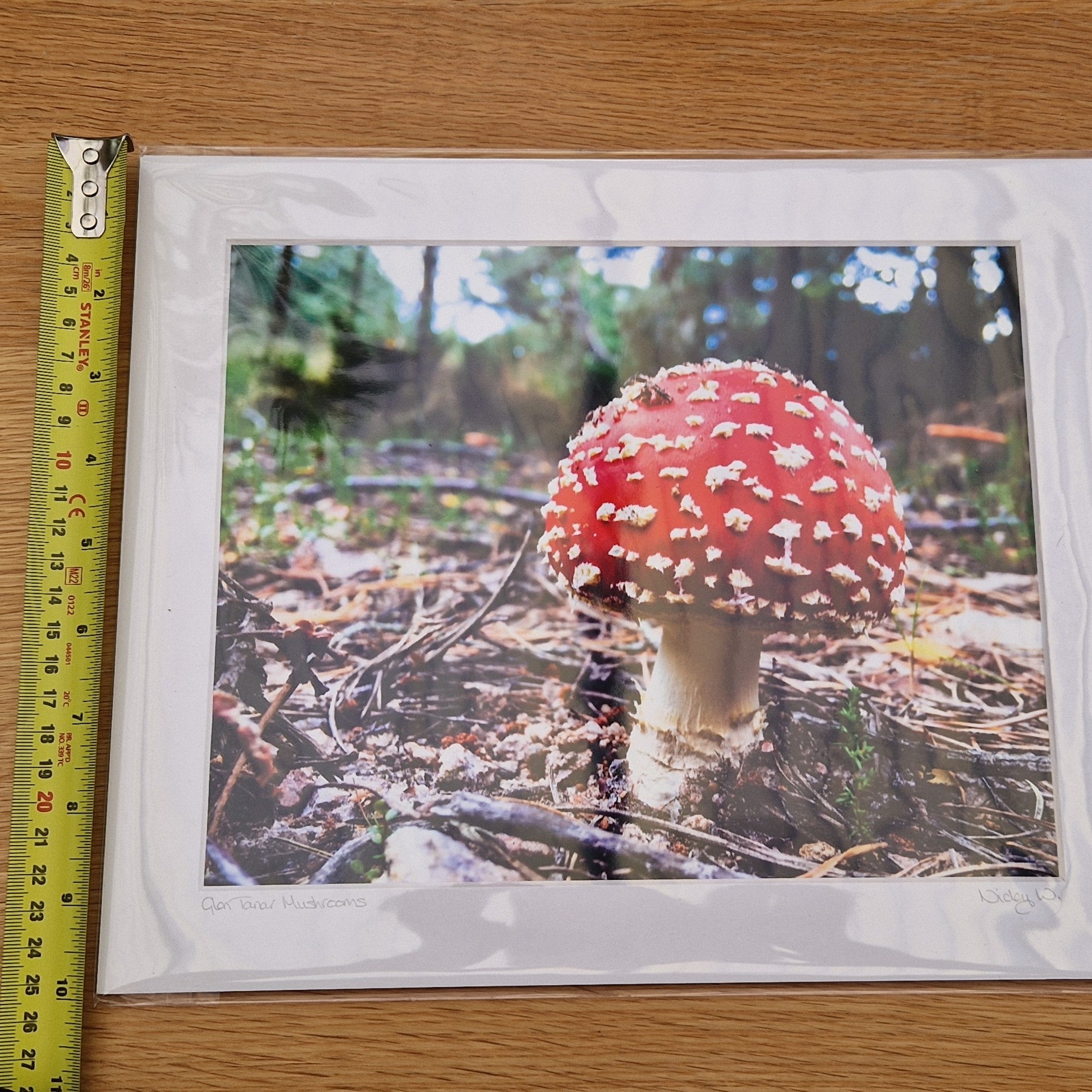 Mounted Photograph – Glen Tanar Mushroom