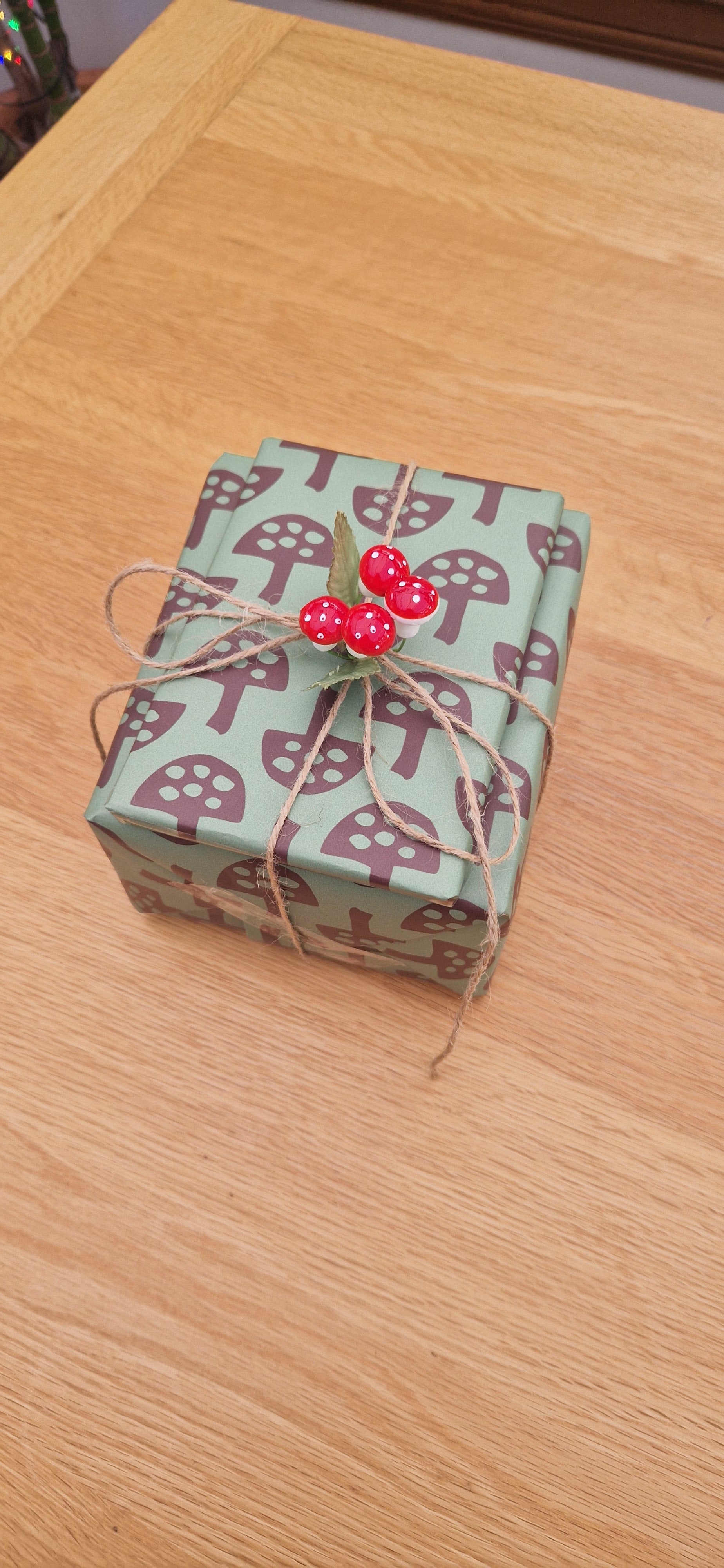 Wrapping Paper in Glen Tanar Mushrooms in Forest Floor - Summer 2025 - SALE