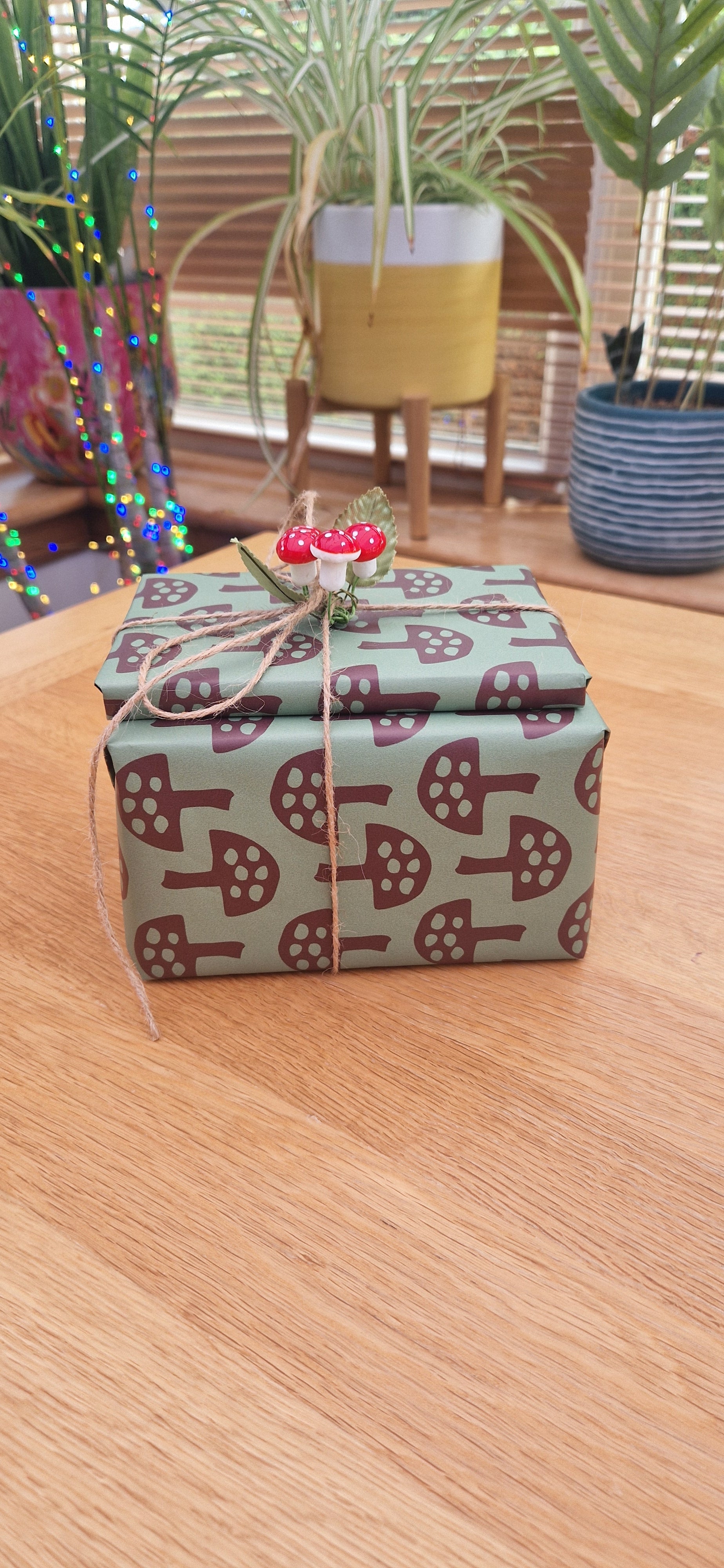 Wrapping Paper in Glen Tanar Mushrooms in Forest Floor - Summer 2025 - SALE
