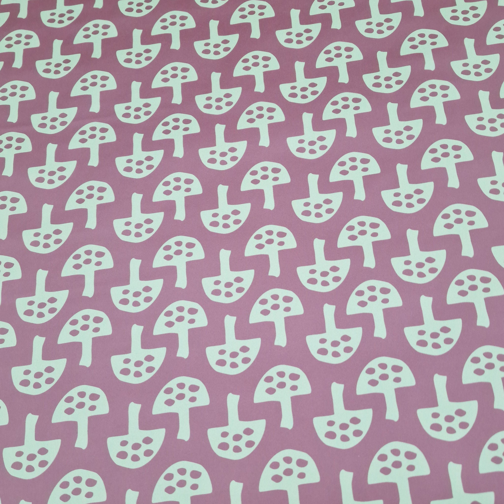 Wrapping Paper in Glen Tanar Mushrooms in Bark - Summer 2025 - SALE