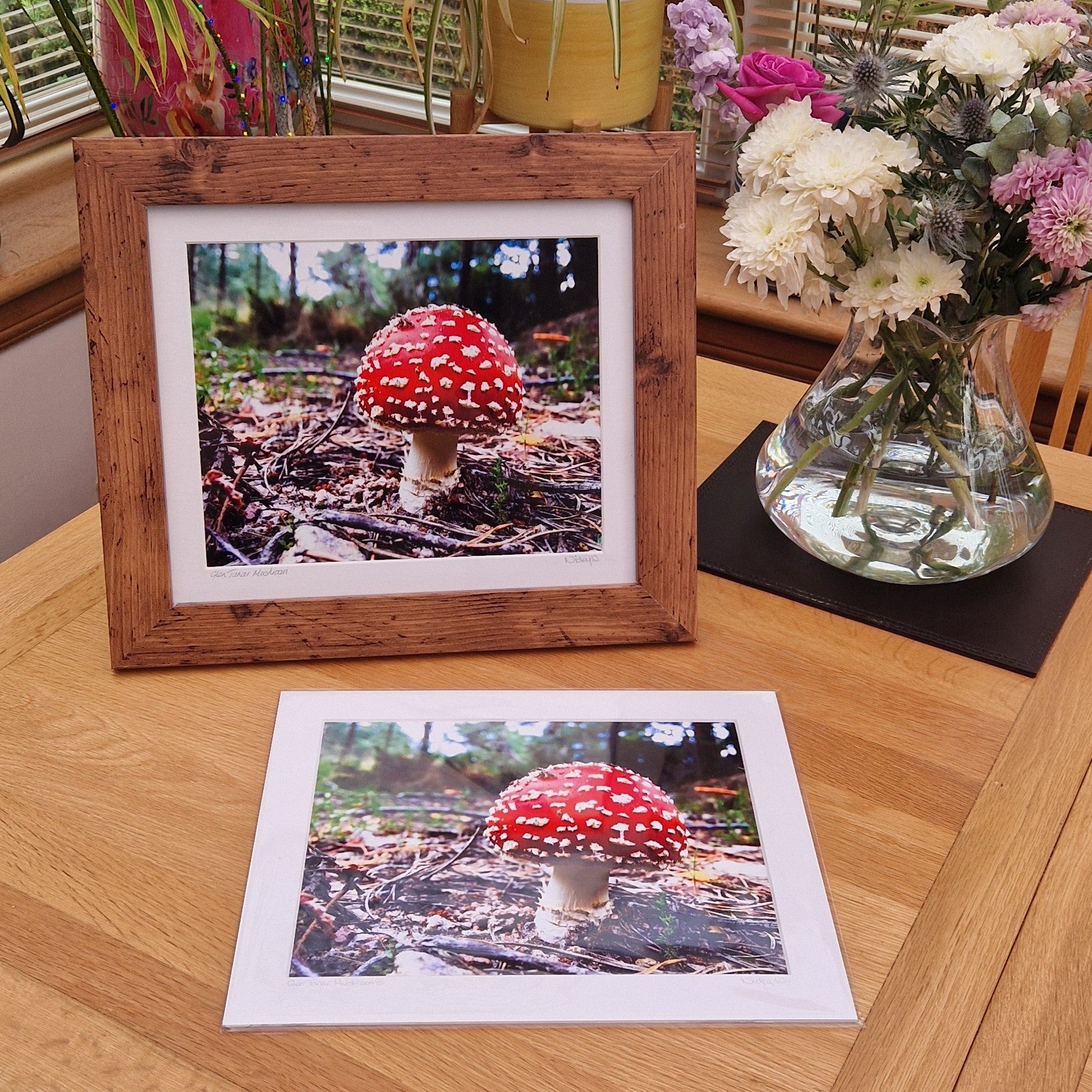 Mounted photograph of amanita muscaria mushroom in Glen Tanar, Scotland
